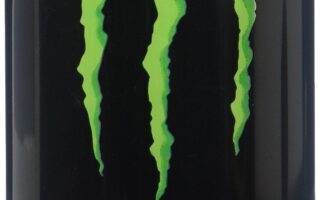 monster energy race car